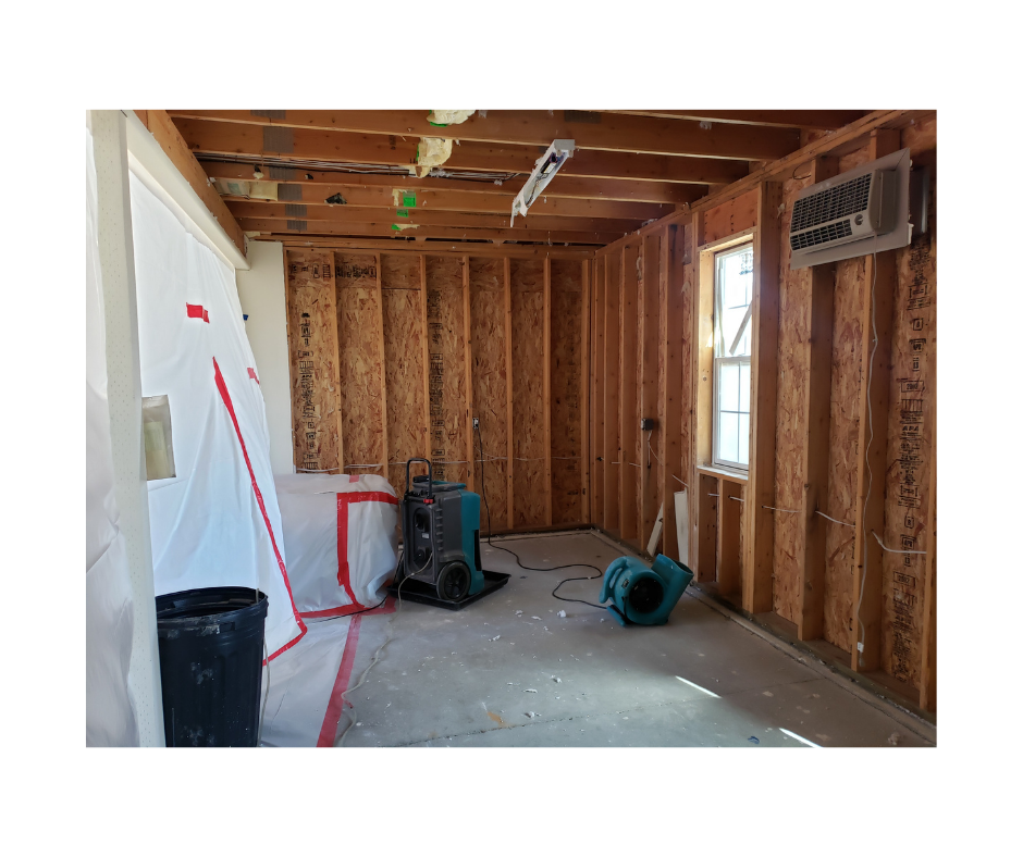 Mold remediation response unit